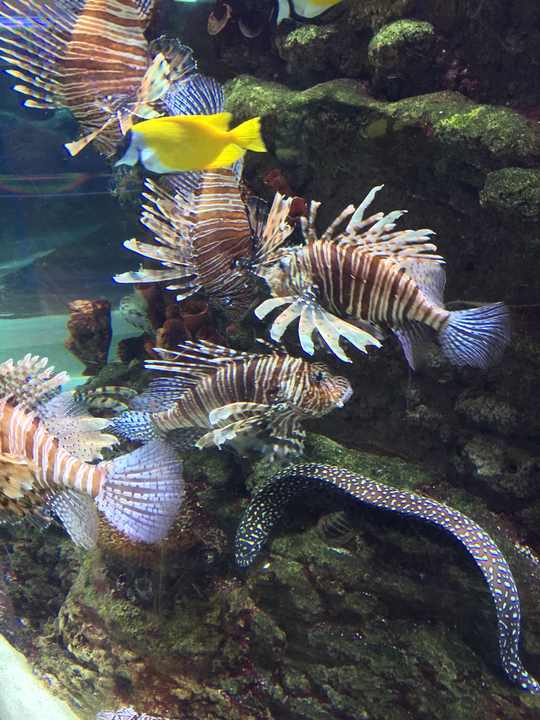 Dubai – dag 2 « japan & dubai 2015